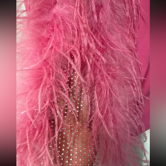AKIRA Hot Pink Feather Rhinestone Mini Dress S Slit Party Cocktail - Picture 7 of 13